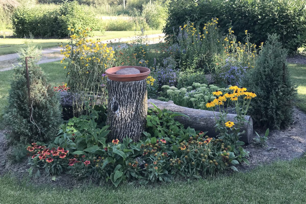 native prairie flower garden