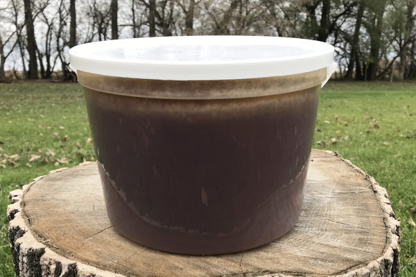 pail of dark colored honey on a log
