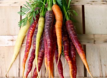a bunch of purple, white and orange carrots