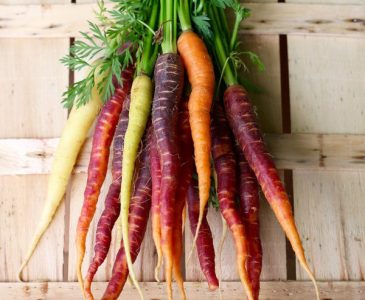 a bunch of purple, white and orange carrots