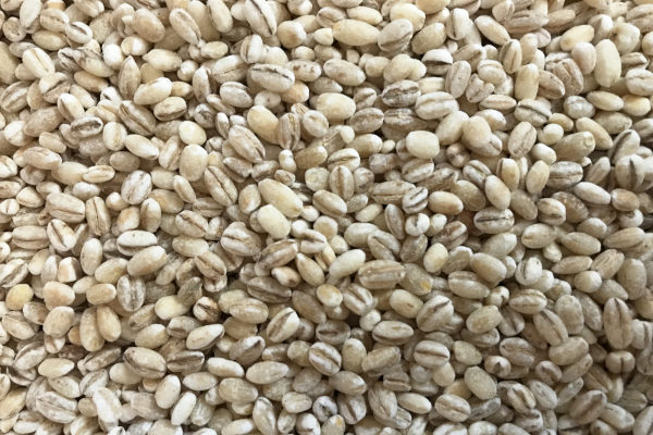 pearl barley