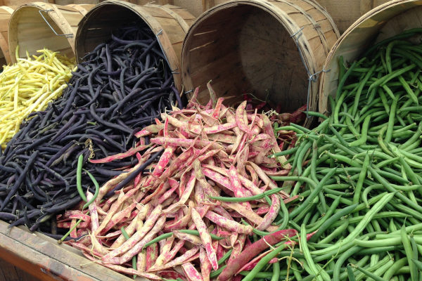 yellow, burgundy, dragon's tongue and green beans in barrels
