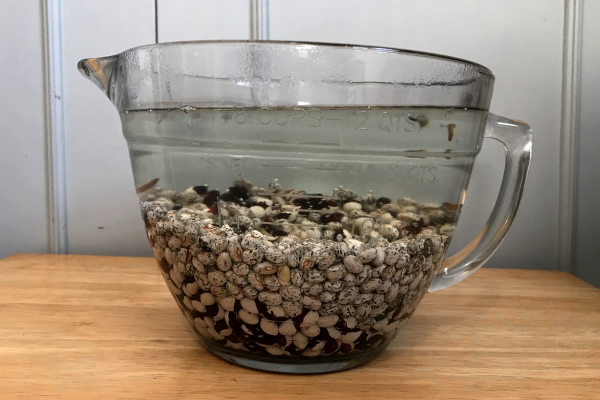 Annie Jackson and Canadian Wild Goose beans soaking in water in a measuring cup