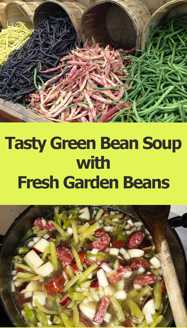 picture of fresh picked beans in barrels and picture of a pot of green bean soup with text reading tasty green bean soup with fresh garden beans