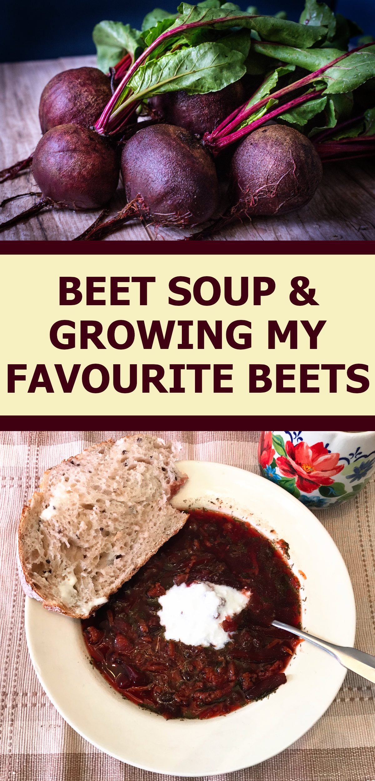 picture of a bunch of beets with tops on boards, picture of bowl of beet soup with dollop of yogourt and slice of bread, with text reading beet soup and growing my favourite beets