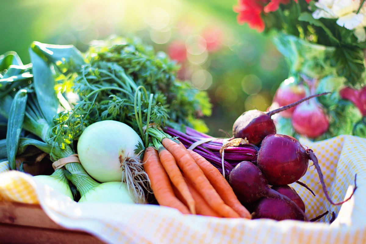 bunches of onions, carrots and beets in cloth lined basket