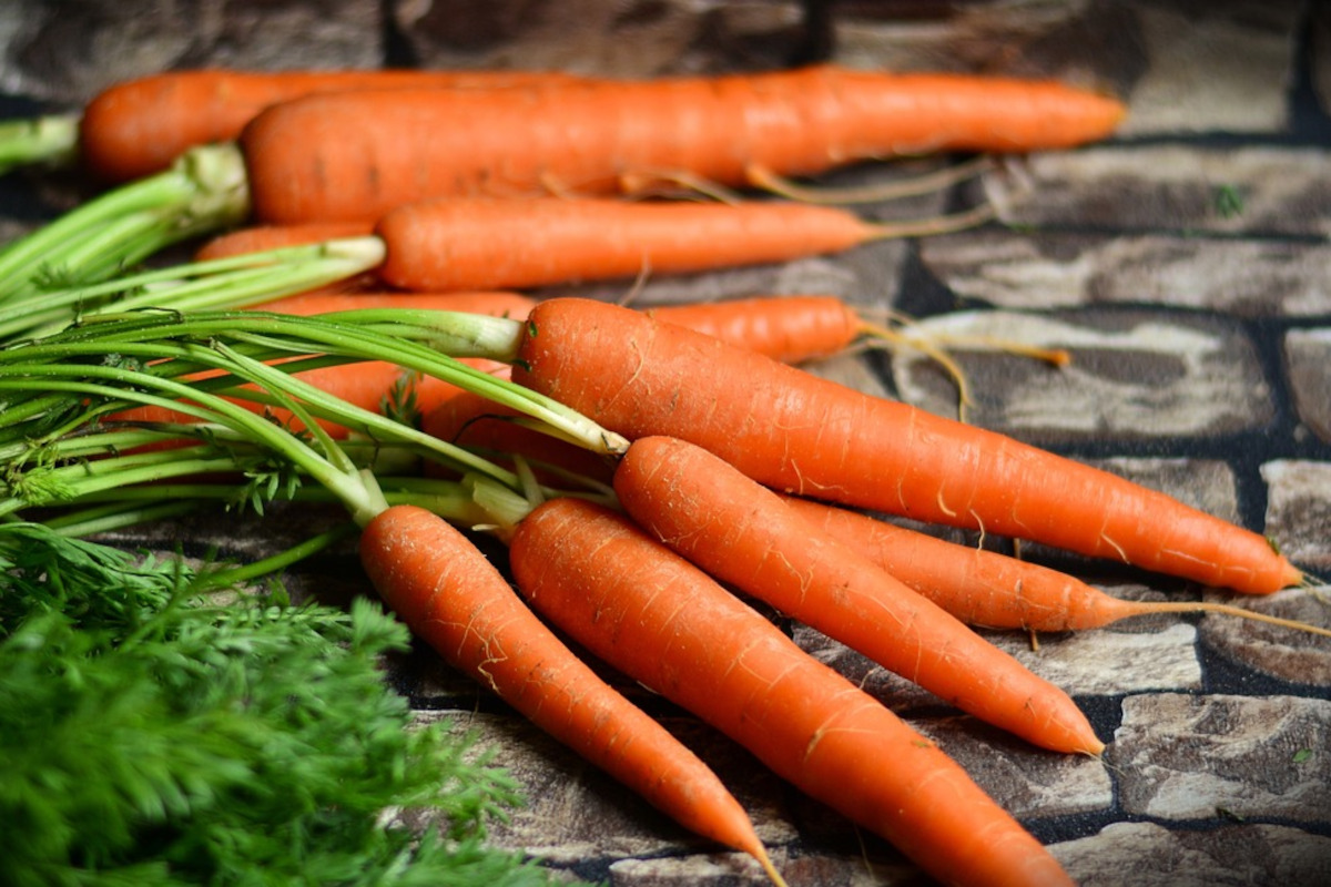 bunch of carrots with tops