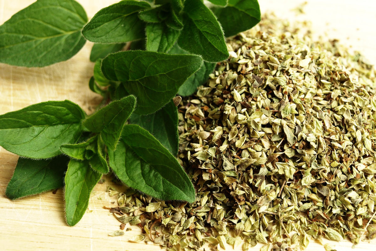 fresh oregano and dried oregano on a wooden cutting board