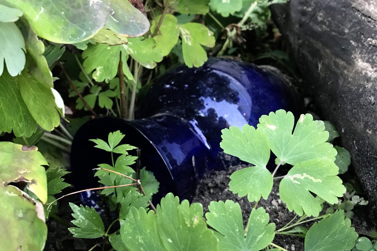 blue vase in flower bed