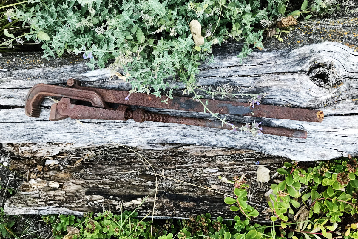 rusty antique wrench type thing on a log