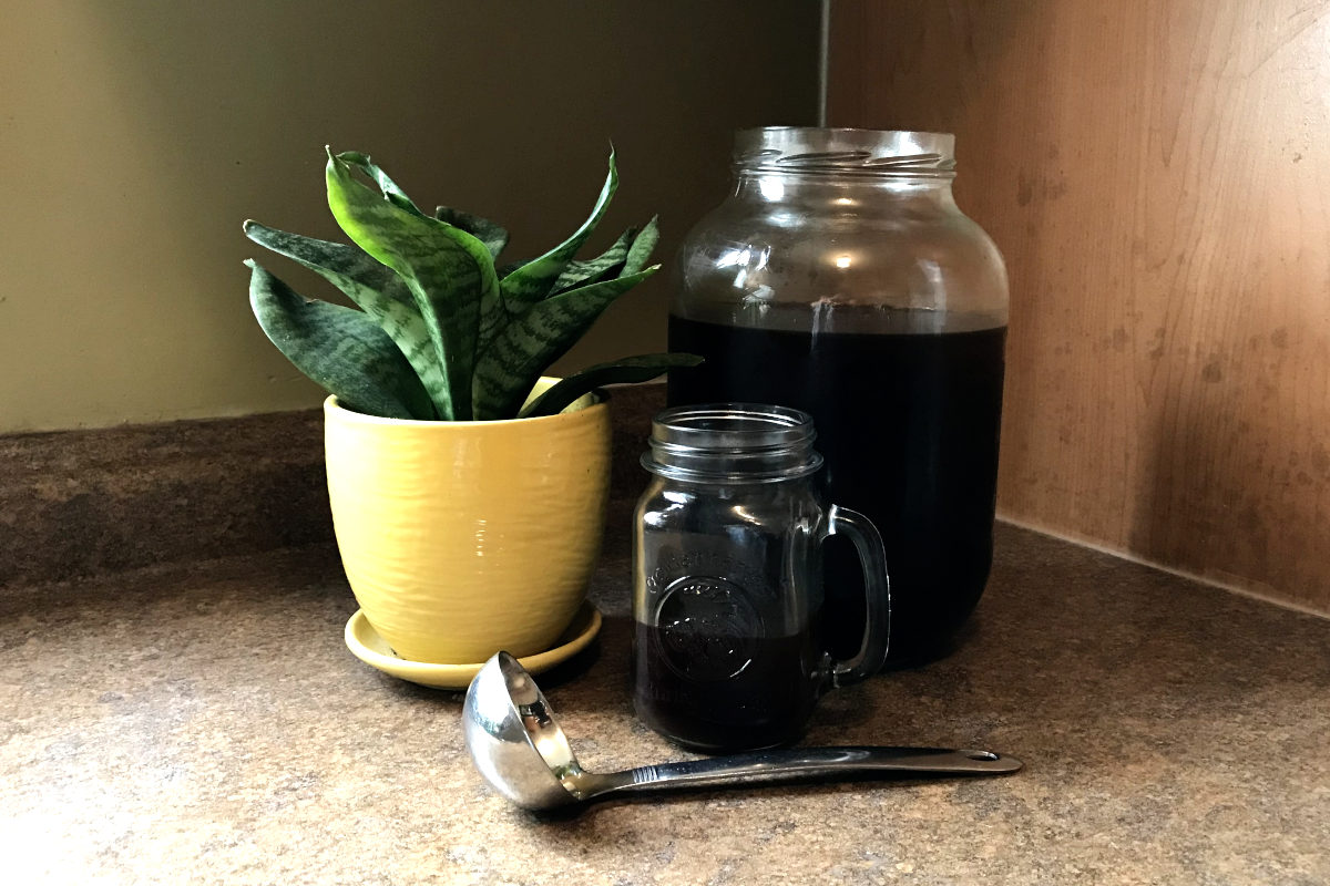 Mug half filled with cold brew coffee, large jar of cold brew coffee and potted plant
