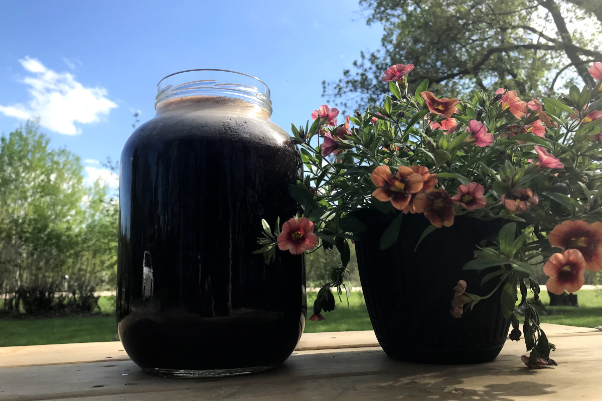 Gallon jar of cold brew coffee, potted flowers against a clear sky