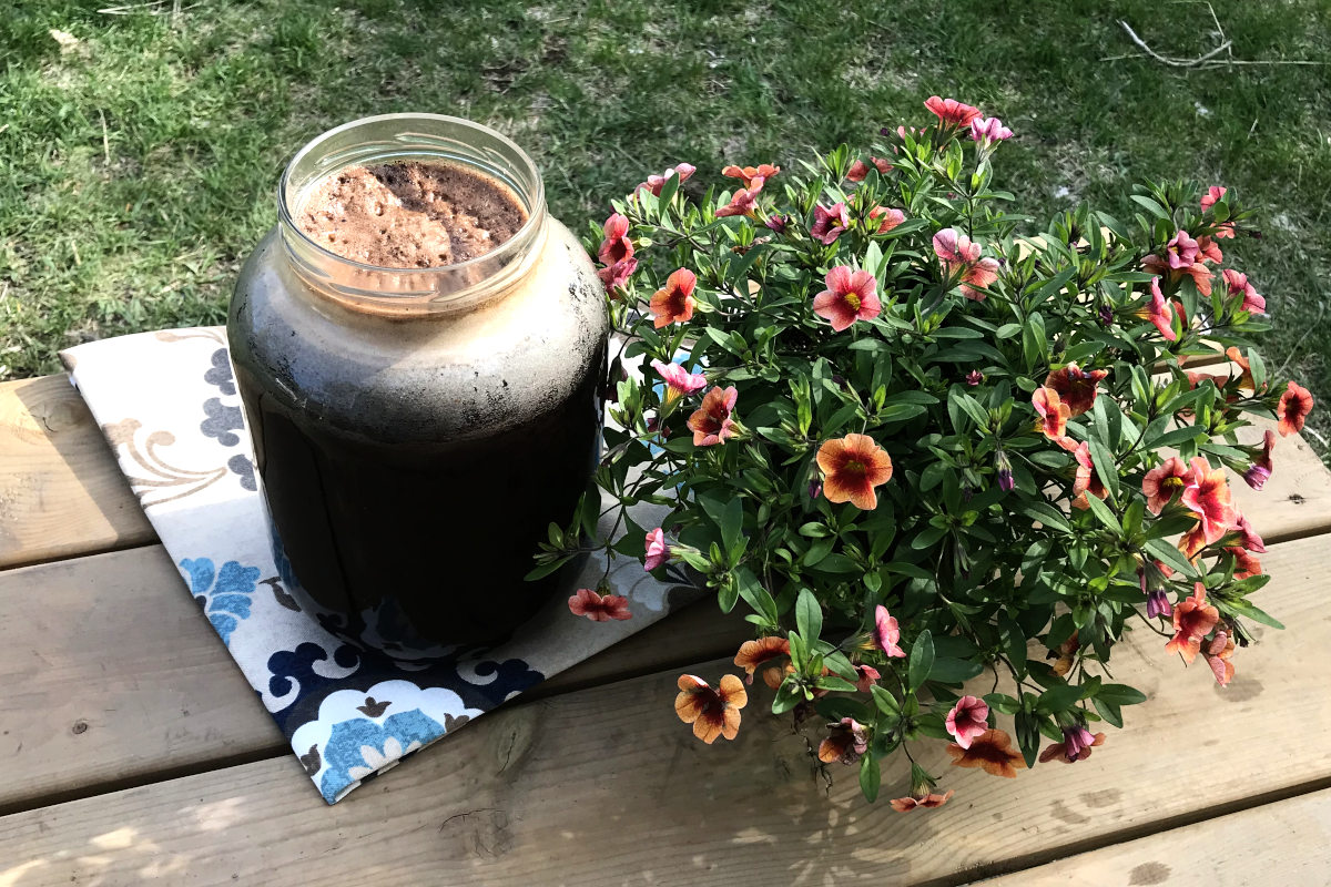 Jar of cold brew coffee and potted flowers on a deck