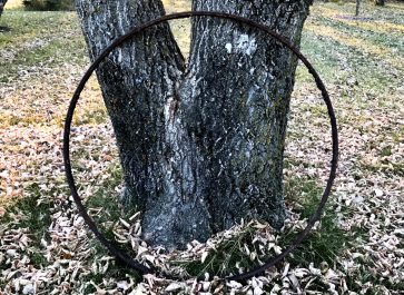 rusty rim against a tree