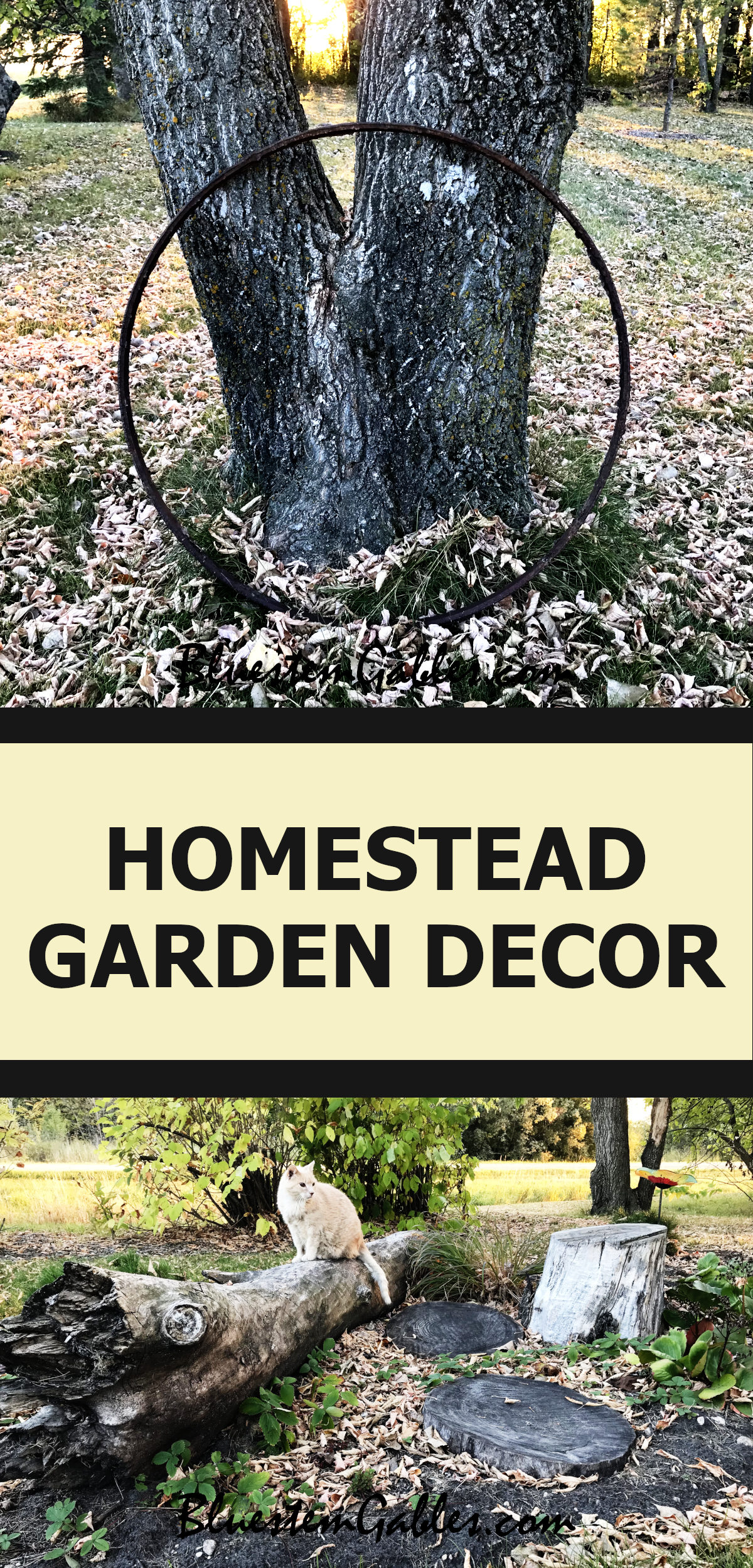picture of rusty rim and picture of various log forms in a garden and text reading homestead garden decor