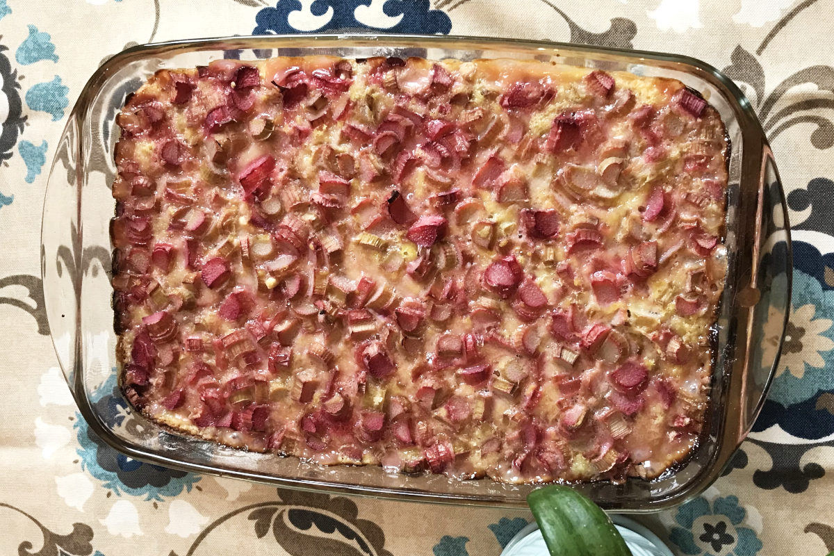 rhubarb dessert with base, rhubarb and custard all baked