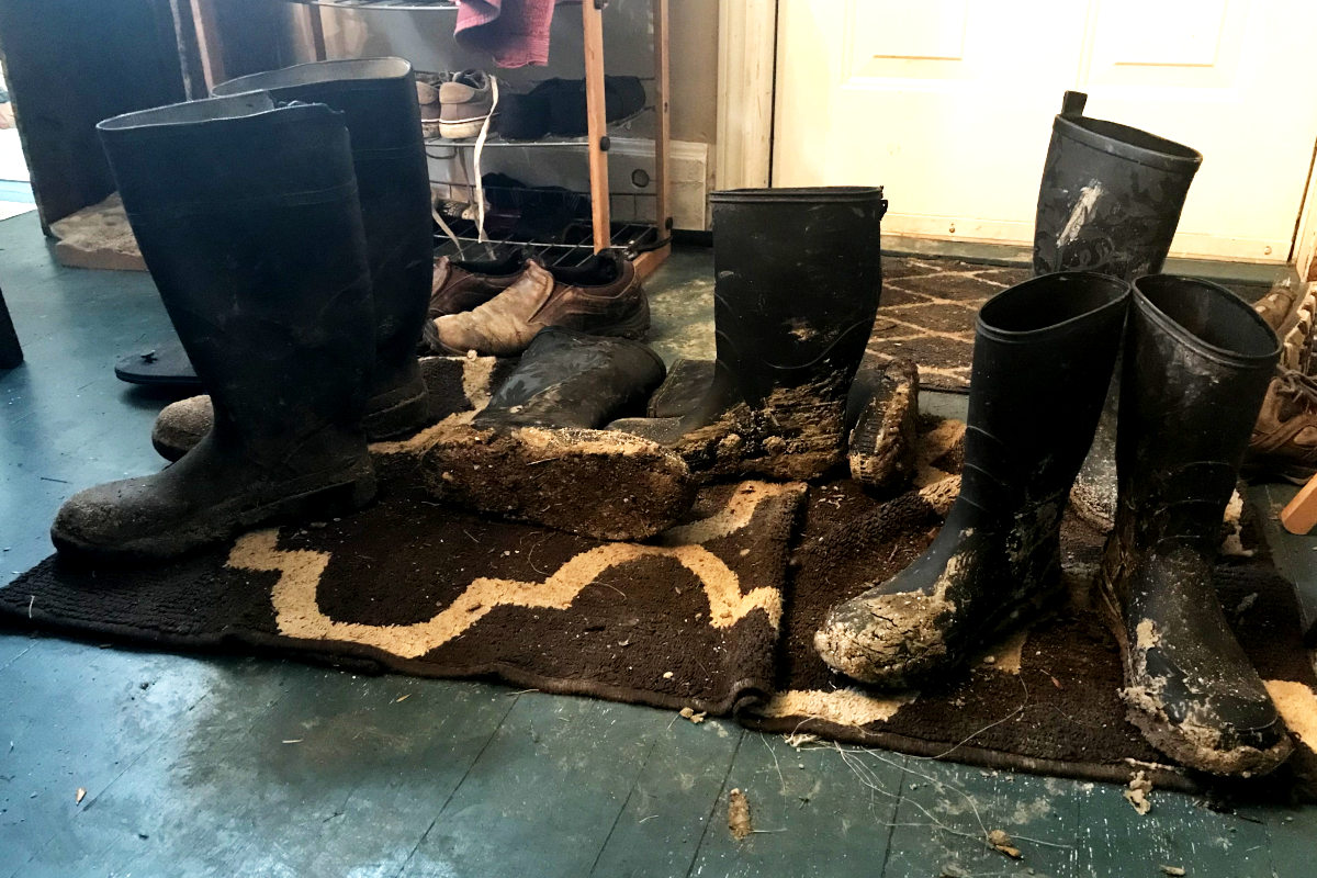 Four pairs of muddy boots on an entrance rug - muddy from our hole for the old house remodel
