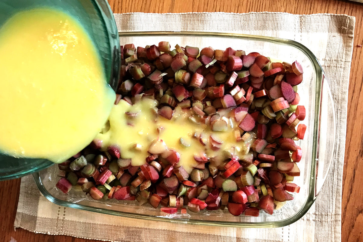 pouring custard over rhubarb in cake pan with baked base