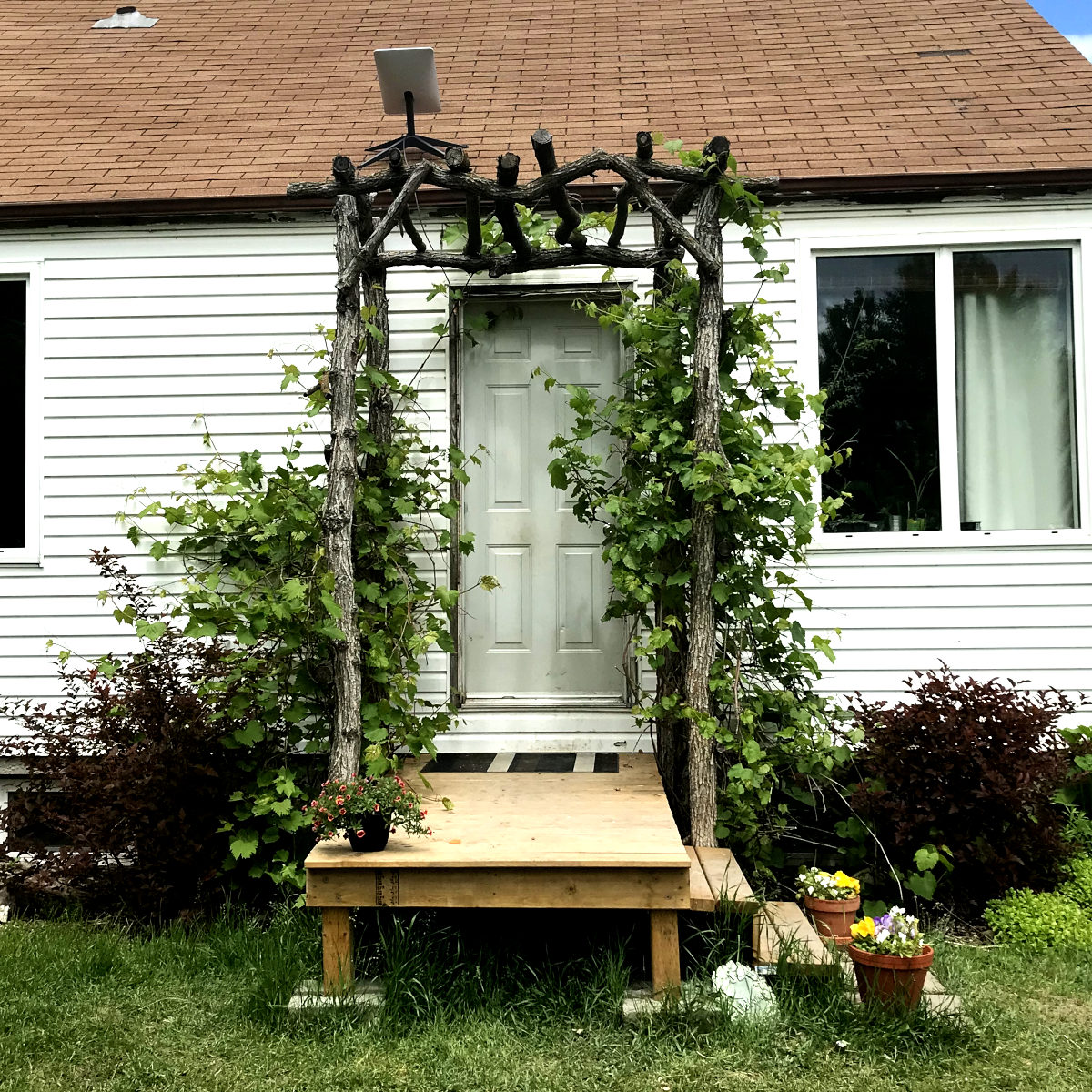 new front veranda entryway through grape arbor on old house remodel