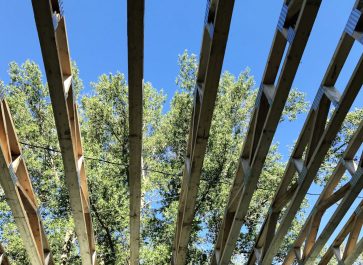 from below, looking through the floor joists to the trees and sky