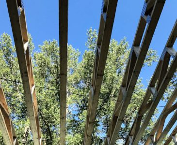 from below, looking through the floor joists to the trees and sky