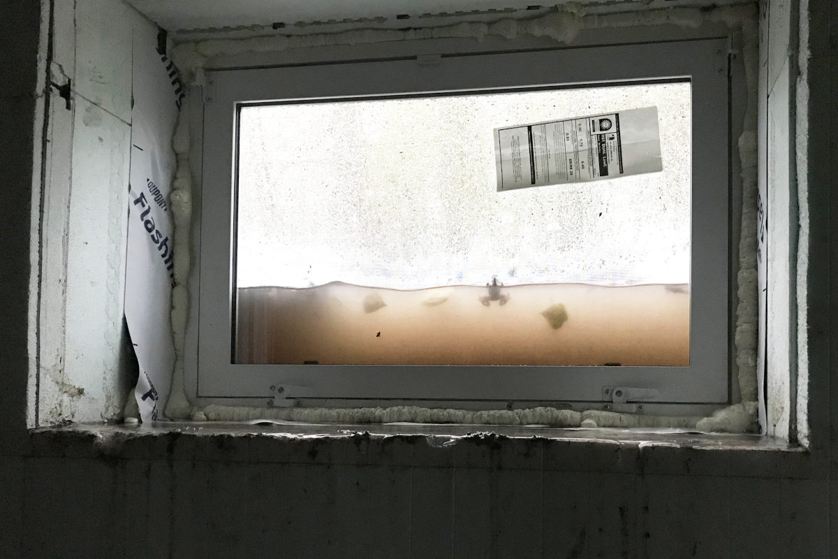 water halfway up the window in the window well in basement addition of old house remodel. Frog in the water.