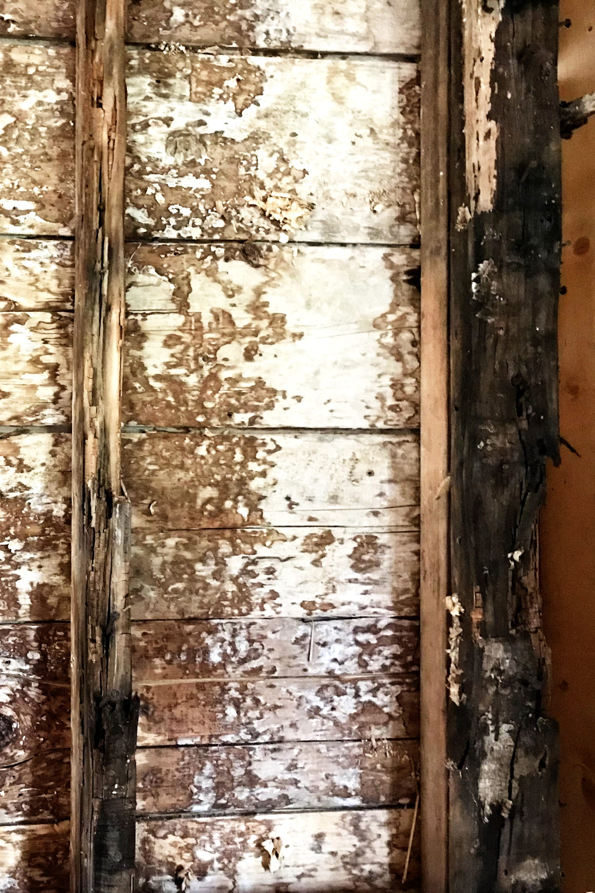 rotten studs in old house remodel