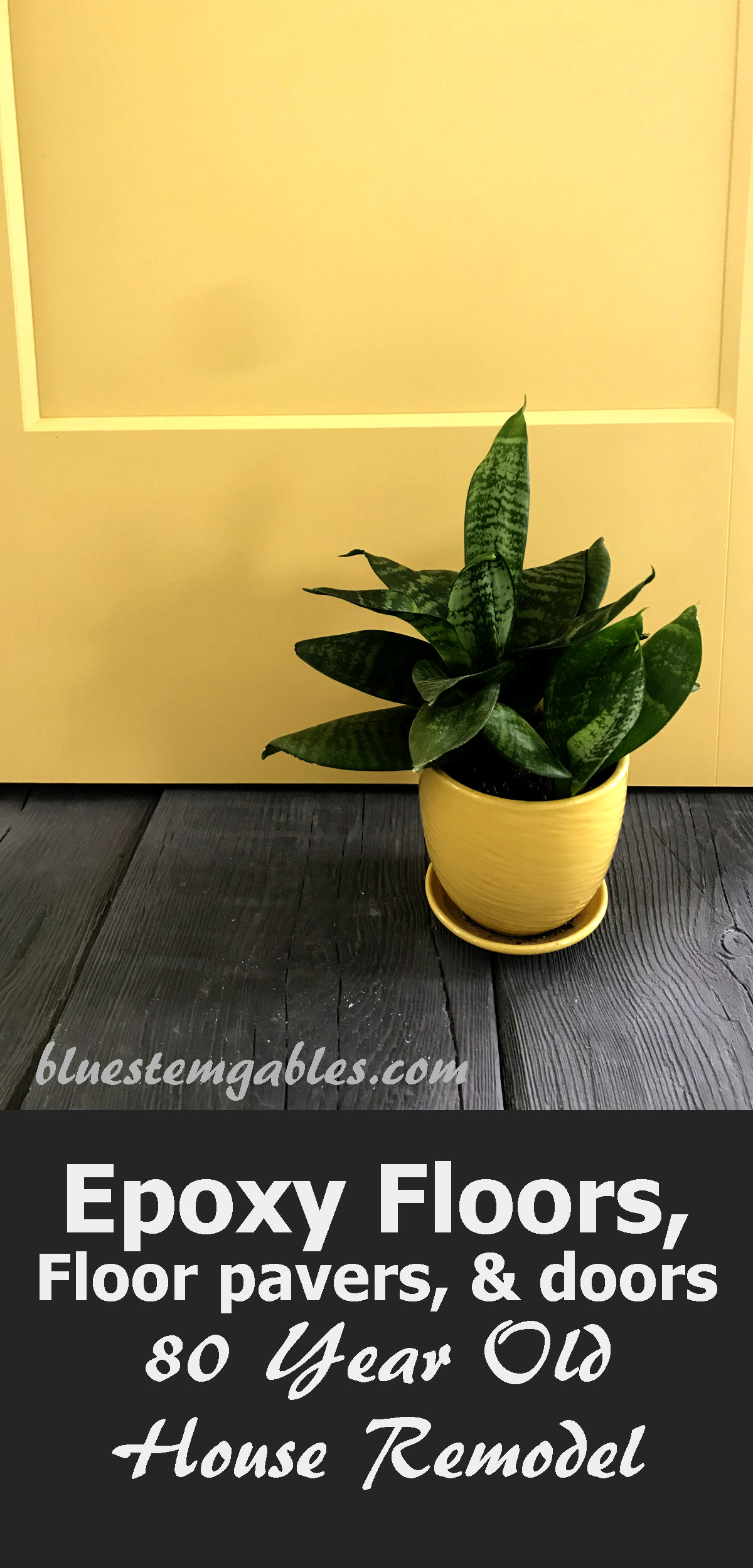 yellow door and wood looking concrete pavers with dwarf snake plant