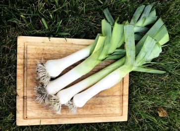 four large leeks on wooden cutting board on grass