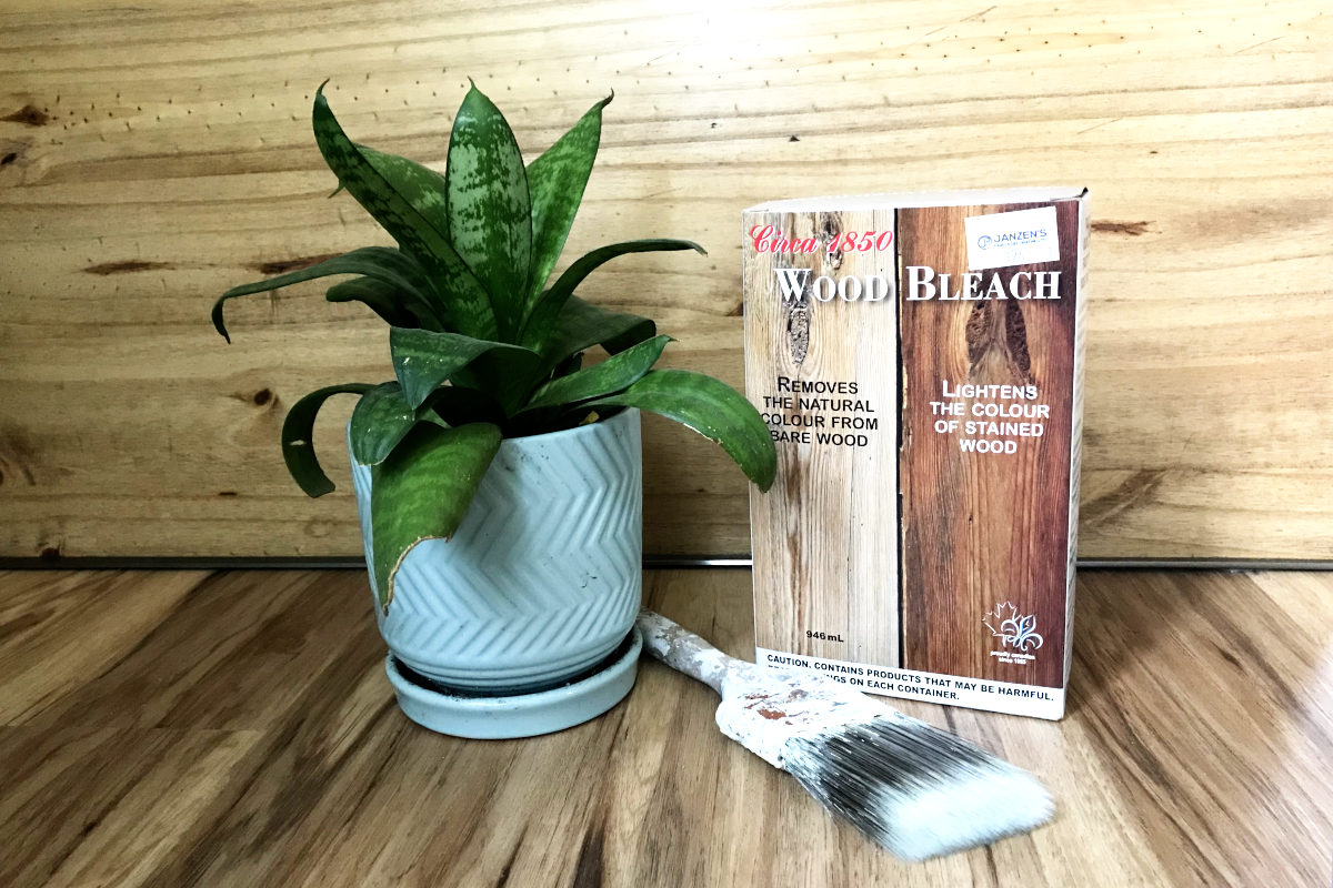 Circa 1850 Wood bleach, with a dwarf snake plant and my old paint brush, in front of finished wood box.