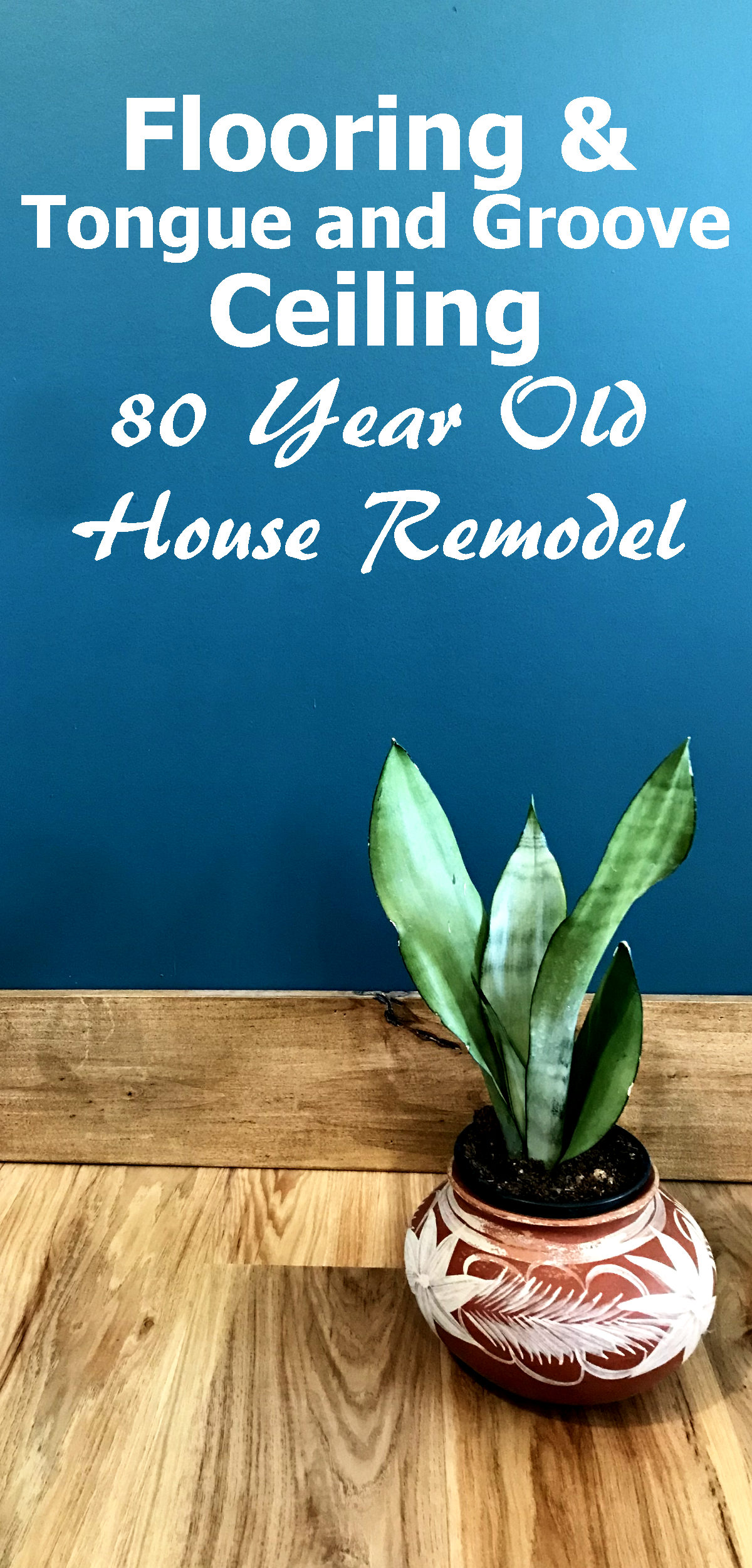 pawnee pecan flooring, stained baseboards, teal wall, snake plant with text reading flooring and tongue and groove ceiling, 80 year old house remodel