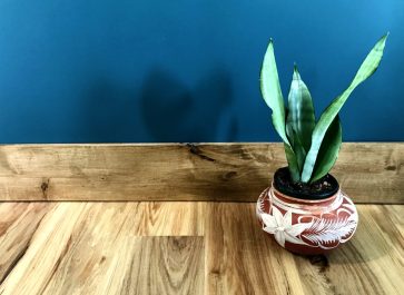 comparing flooring and stained baseboards, dark teal wall with snake plant