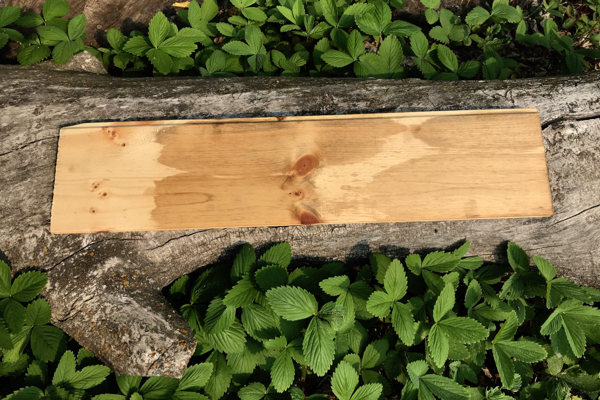 test stain of classic oak and special walnut on pine, laid on a weathered log surrounded by wild strawberries
