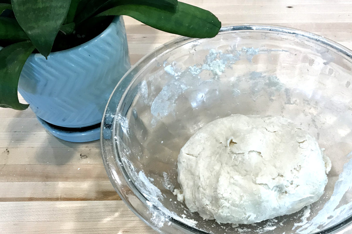 ball of dough for platz resting in a bowl with a plant to the side