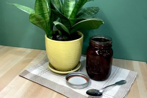 chokecherry BBQ sauce in a jar with a spoon and snake plant on a place mat on butcher block counter