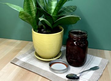 chokecherry BBQ sauce in a jar with a spoon and snake plant on a place mat on butcher block counter