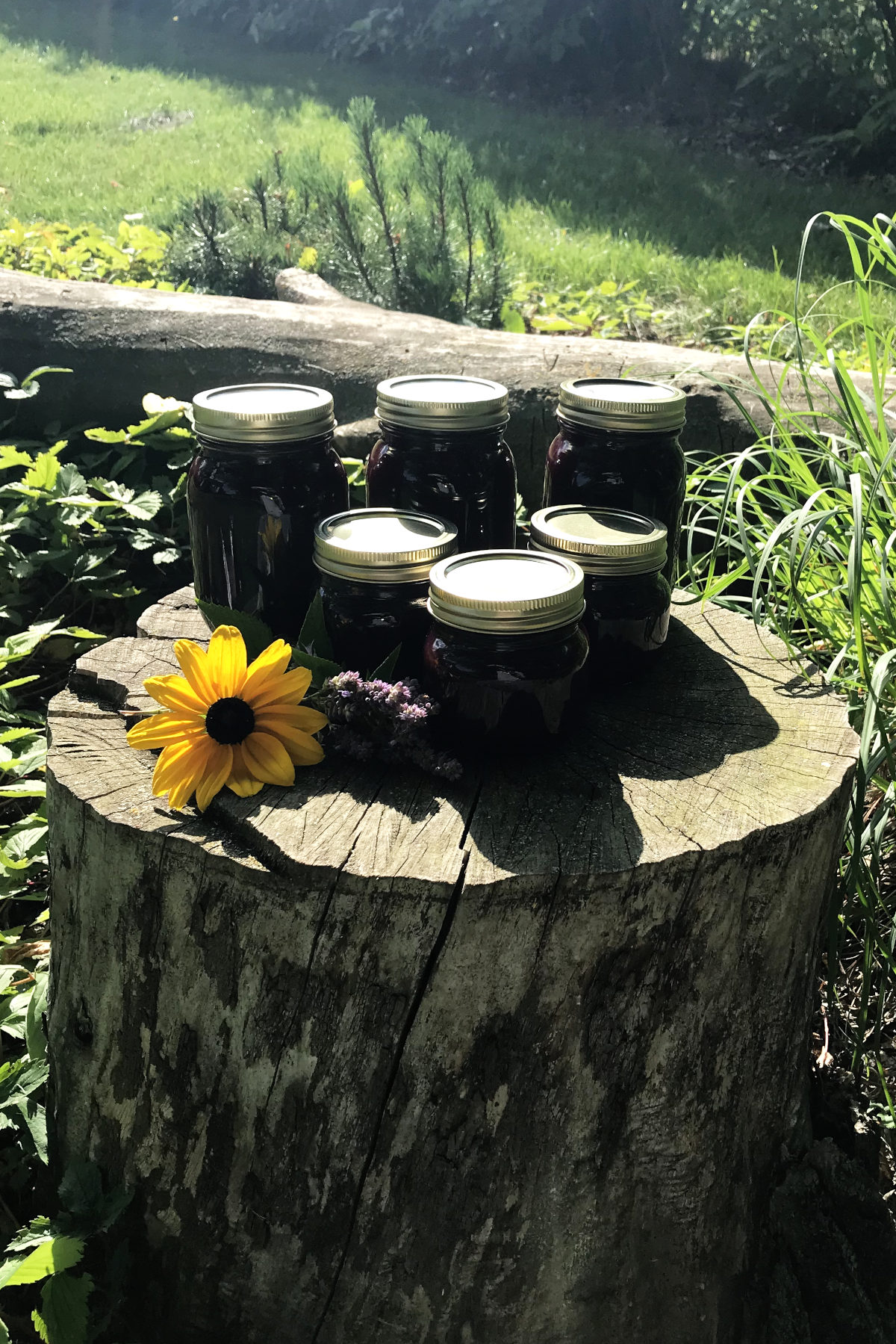 jars of chokecherry syrup on a stump with flowers surrounded by greenery