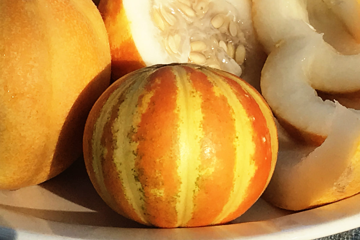 closeup of queen anne pocket melons on a plate