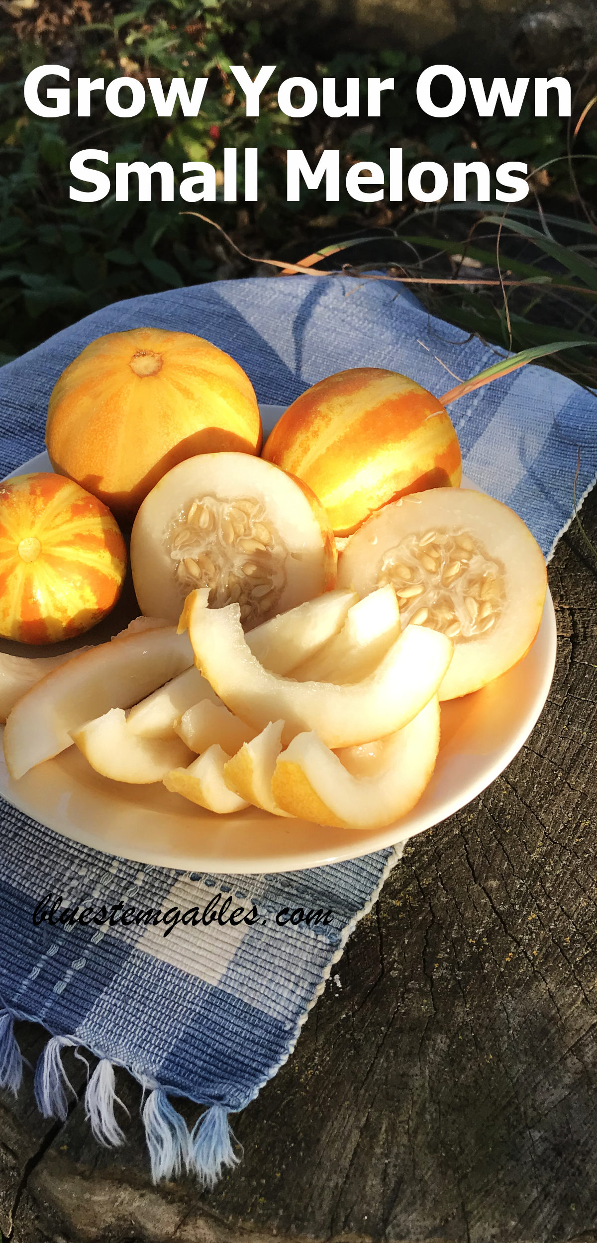 Small melons, whole, halved, and sliced on a plate on an old tree stump with text reading grow your own small melons