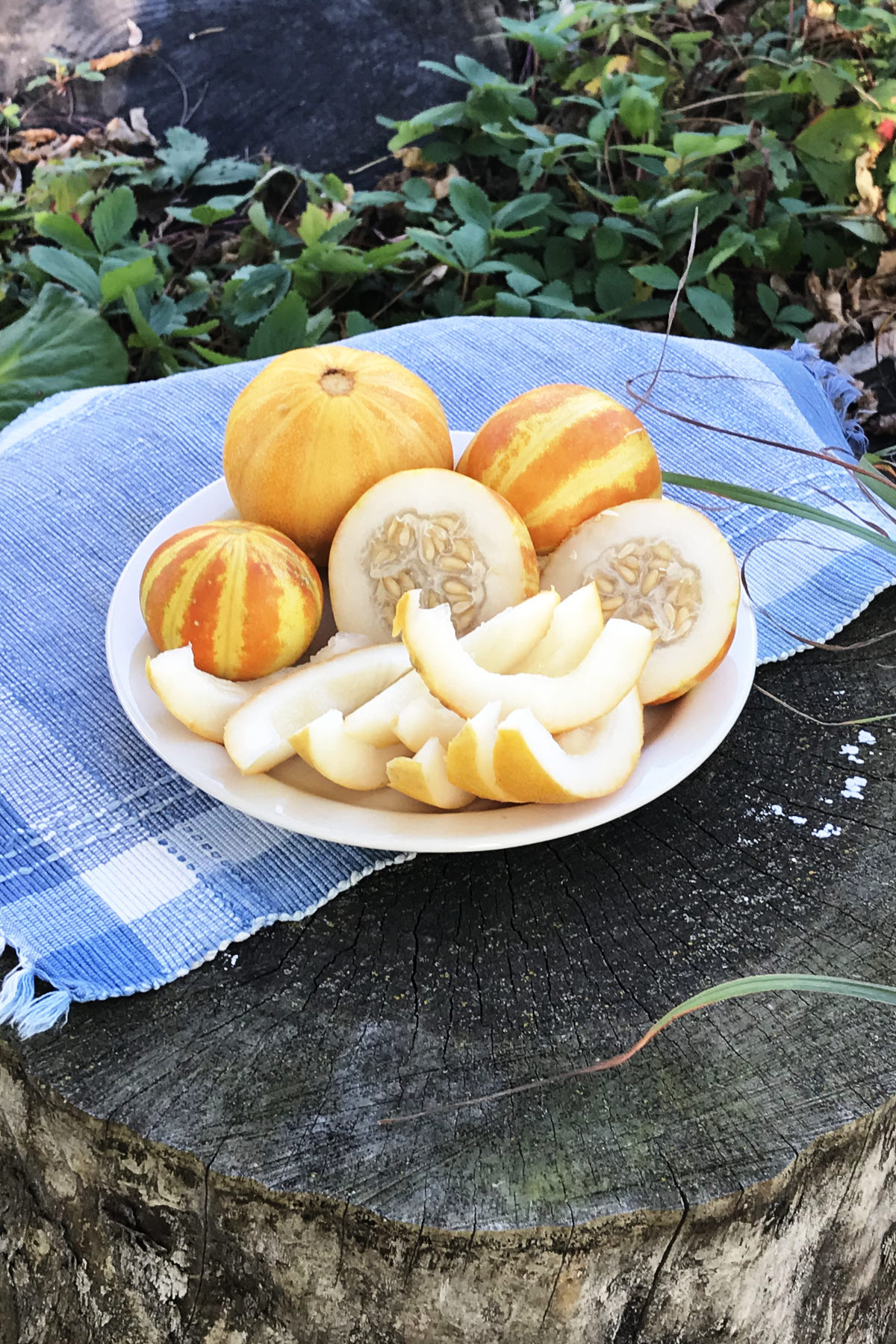 Whole, halved, and sliced queen anne pocket melons on a plate, on a placemat, on an old tree stump