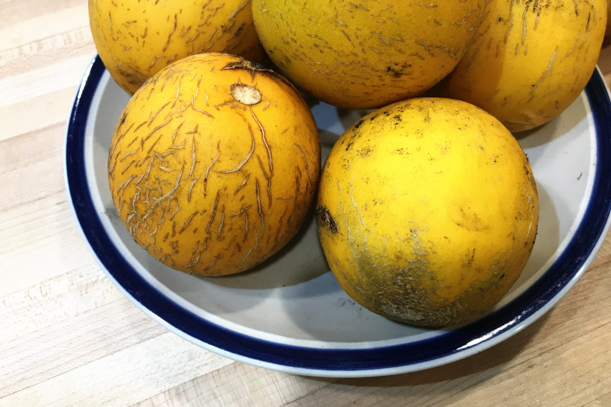 Mary Mother's Pie Melons on a plate on butcher block counter