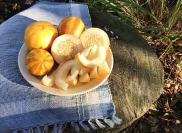 whole, halved and sliced small melons on a plate on an old tree stump