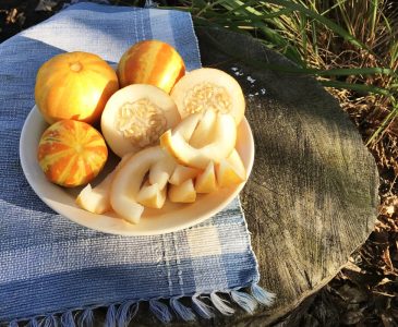 whole, halved and sliced small melons on a plate on an old tree stump