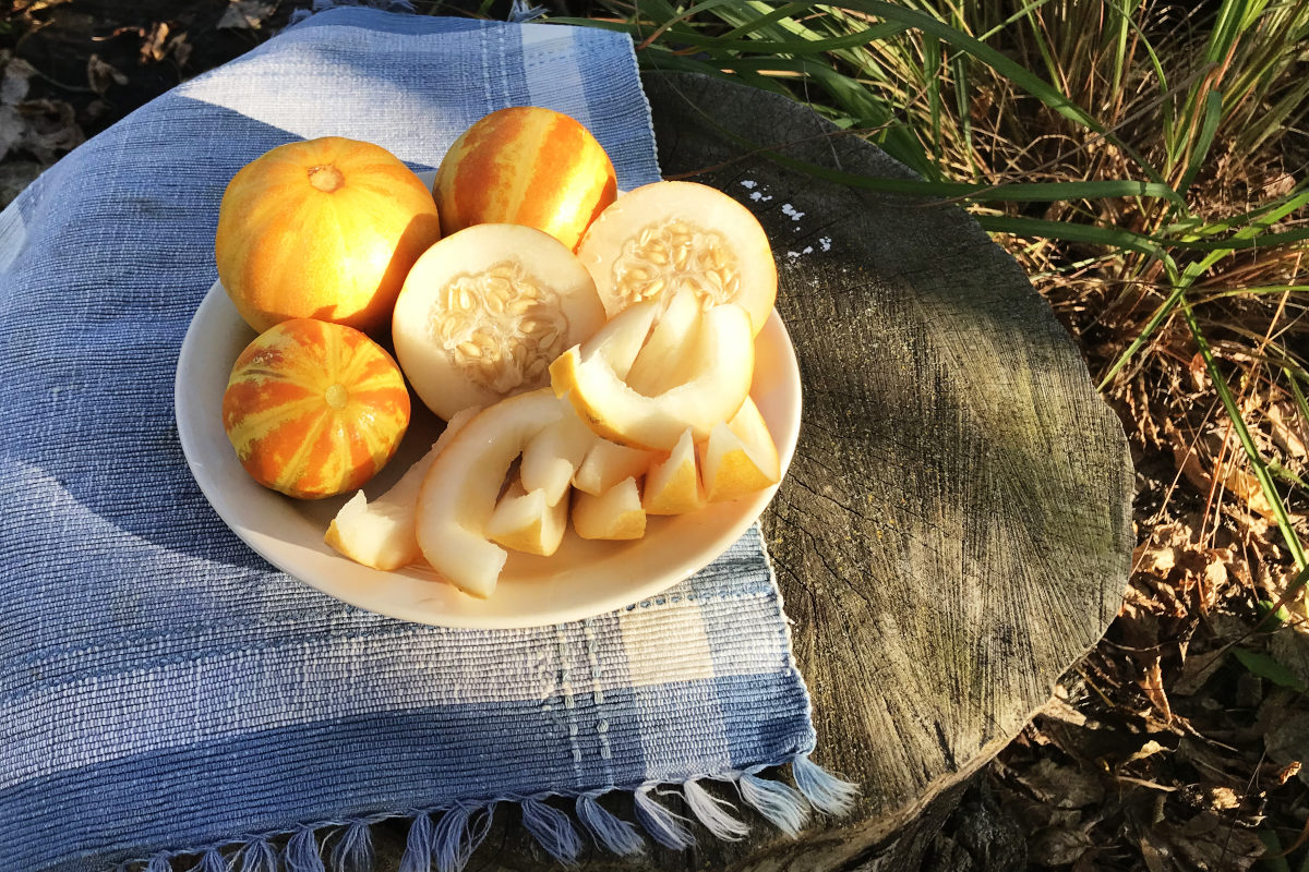 whole, halved and sliced small melons on a plate on an old tree stump