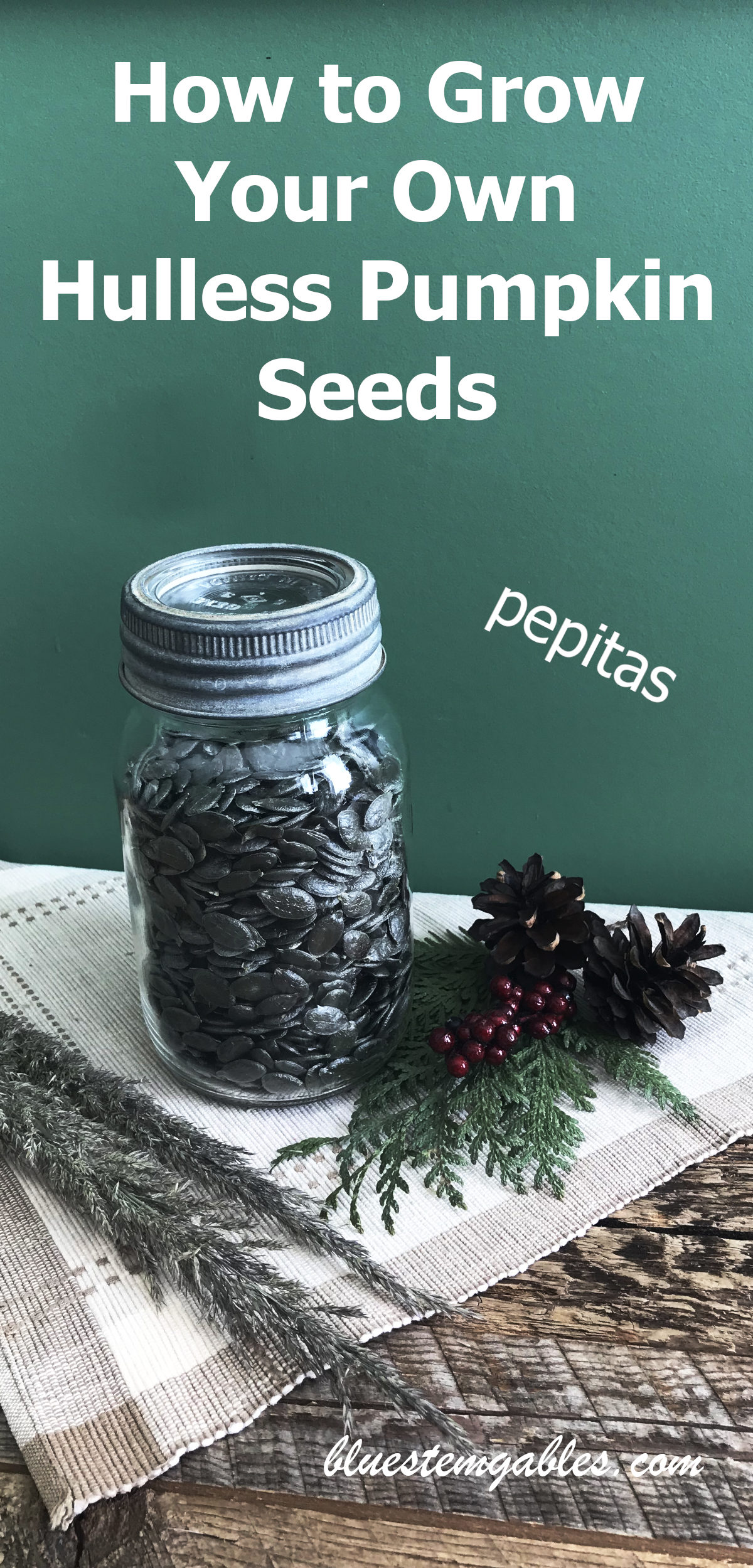 jar of hulless pumpkin seeds on placemat on weathered wood with greenery with text reading how to grow your own hulless pumpkin seeds, pepitas.