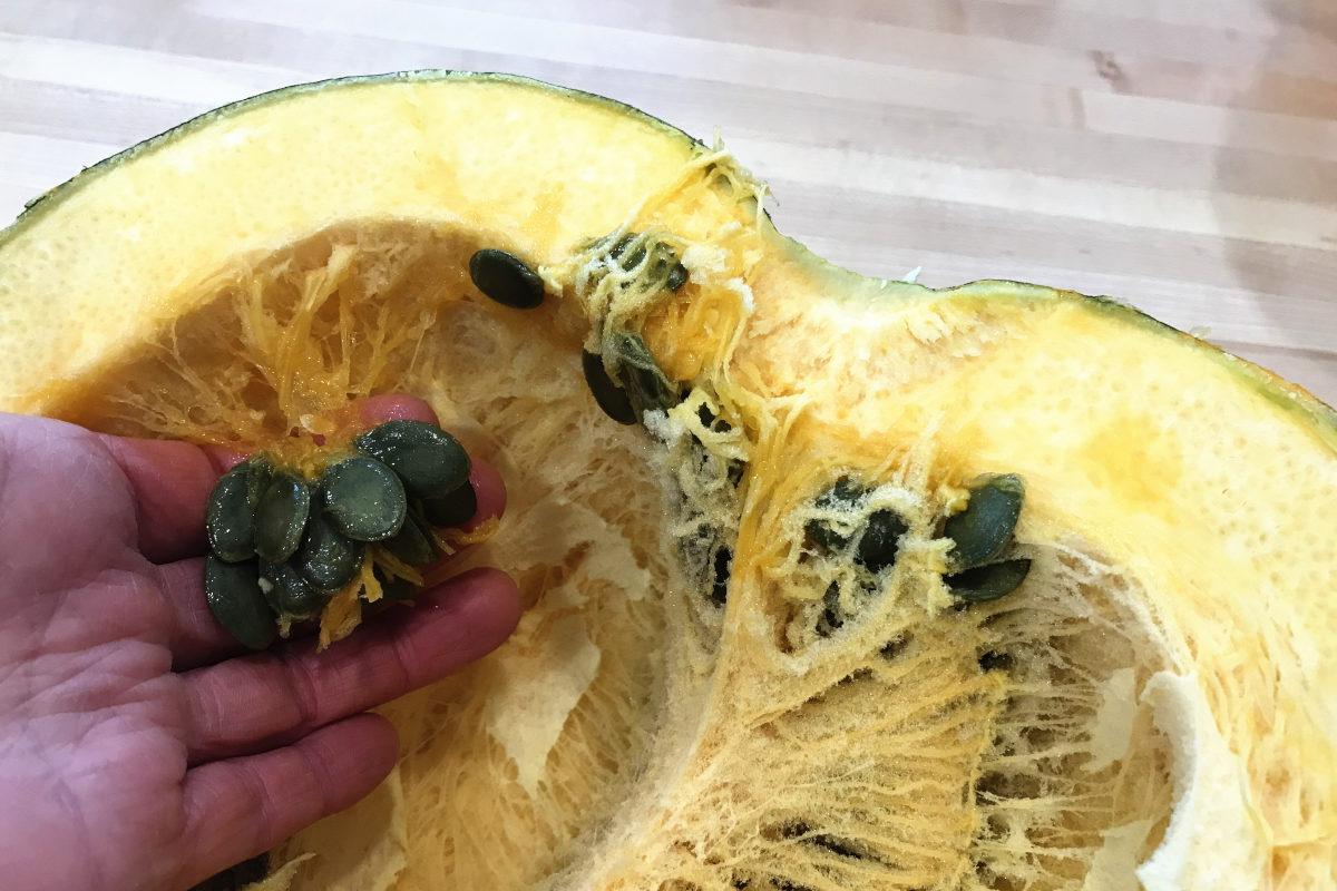 halved hulless pumpkin with a hand holding a seed bunch