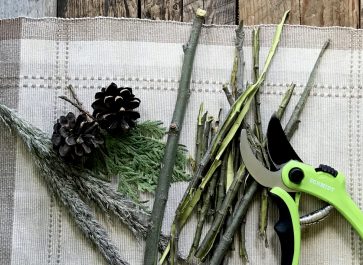 peeled willow bark with pruning shears and greenery on place mat on weathered wood