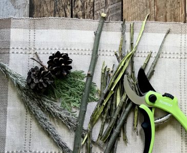 peeled willow bark with pruning shears and greenery on place mat on weathered wood