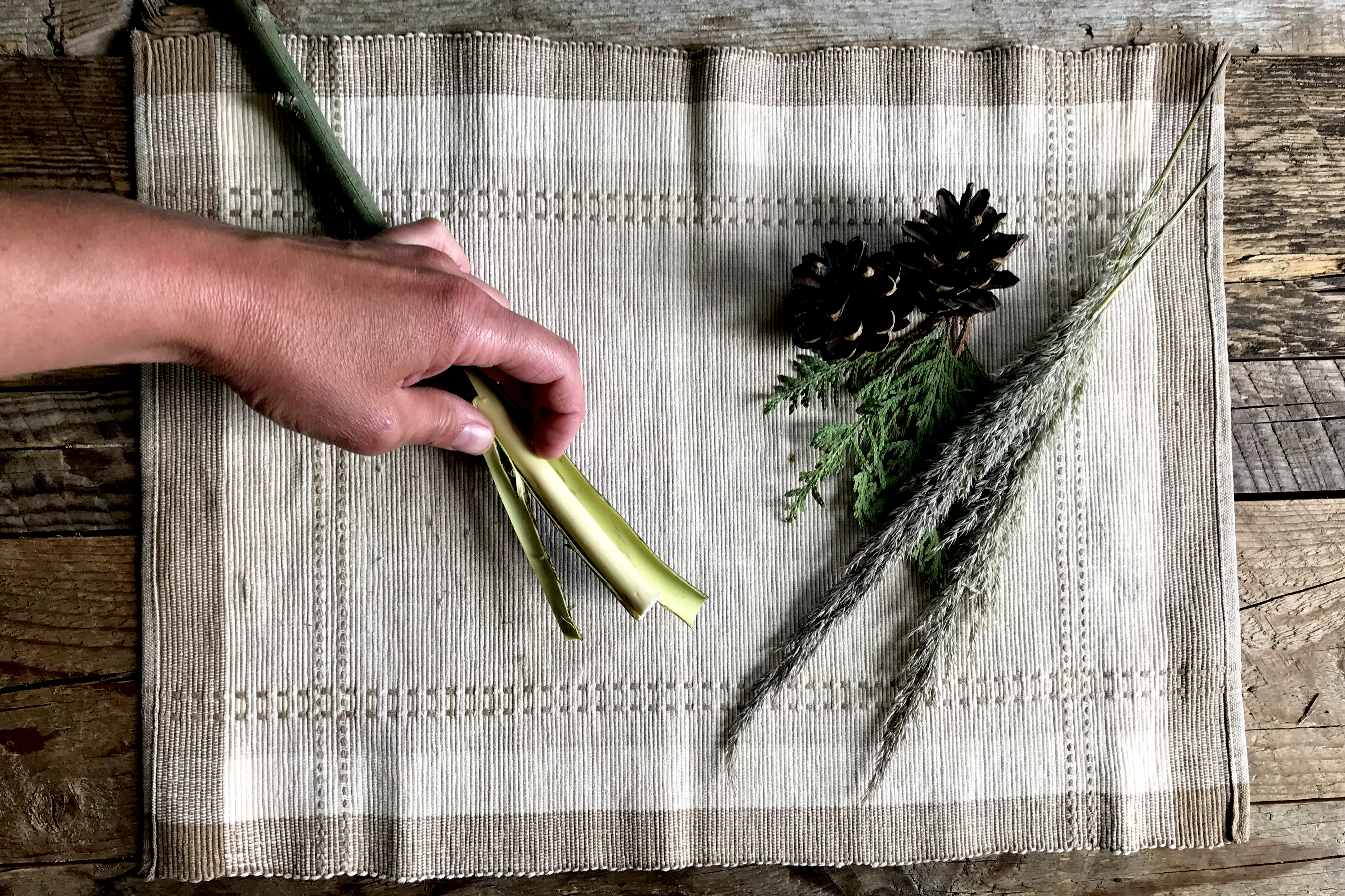 my hand revealing the light green inner bark of the willow branch, on a place mat with greenery on weathered wood
