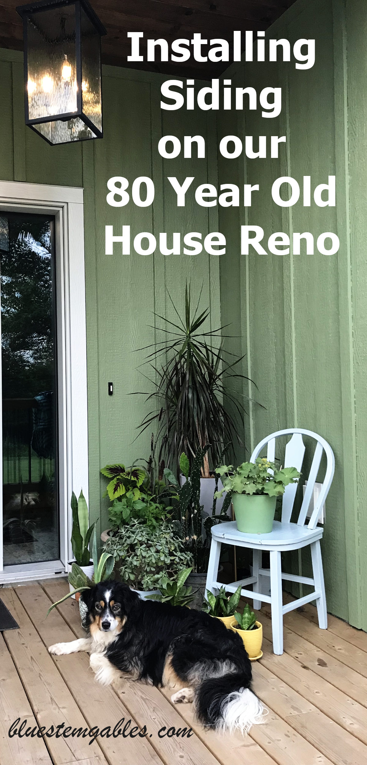 New siding on entrance with tongue and groove ceiling, hanging square pendant, lots of plants, an old chair and a dog, with text reading installing siding on our 80 year old house reno.